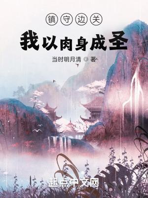 镇守边关我以肉身成圣作 者当时明月清