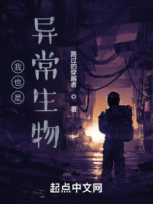 路过的穿越者