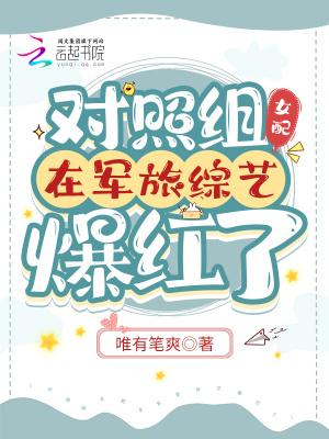 全网黑后我考研清华爆红了全文免费阅读