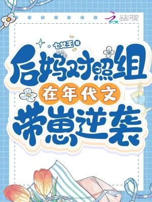 后妈年代文推荐
