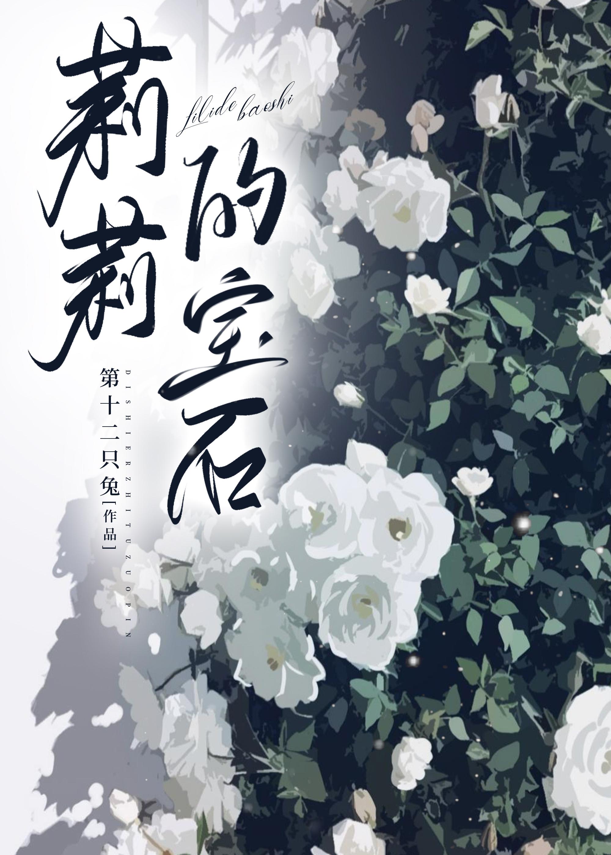 莉莉的宝石TXT资源
