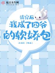 清穿后我成了四爷白月