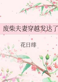 废柴夫妻穿越发达了格格党