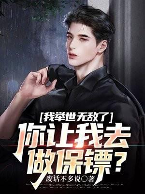 叶枫清音玄幻