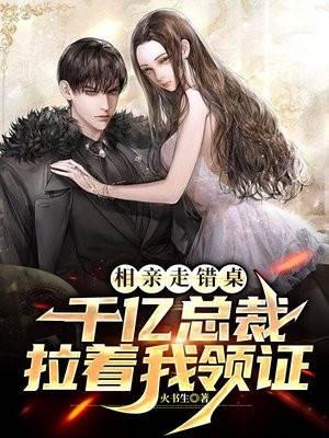 主角叶龙是什么