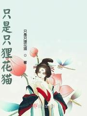 狸花一生只认一个主人