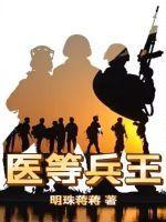 医武兵王陆轩