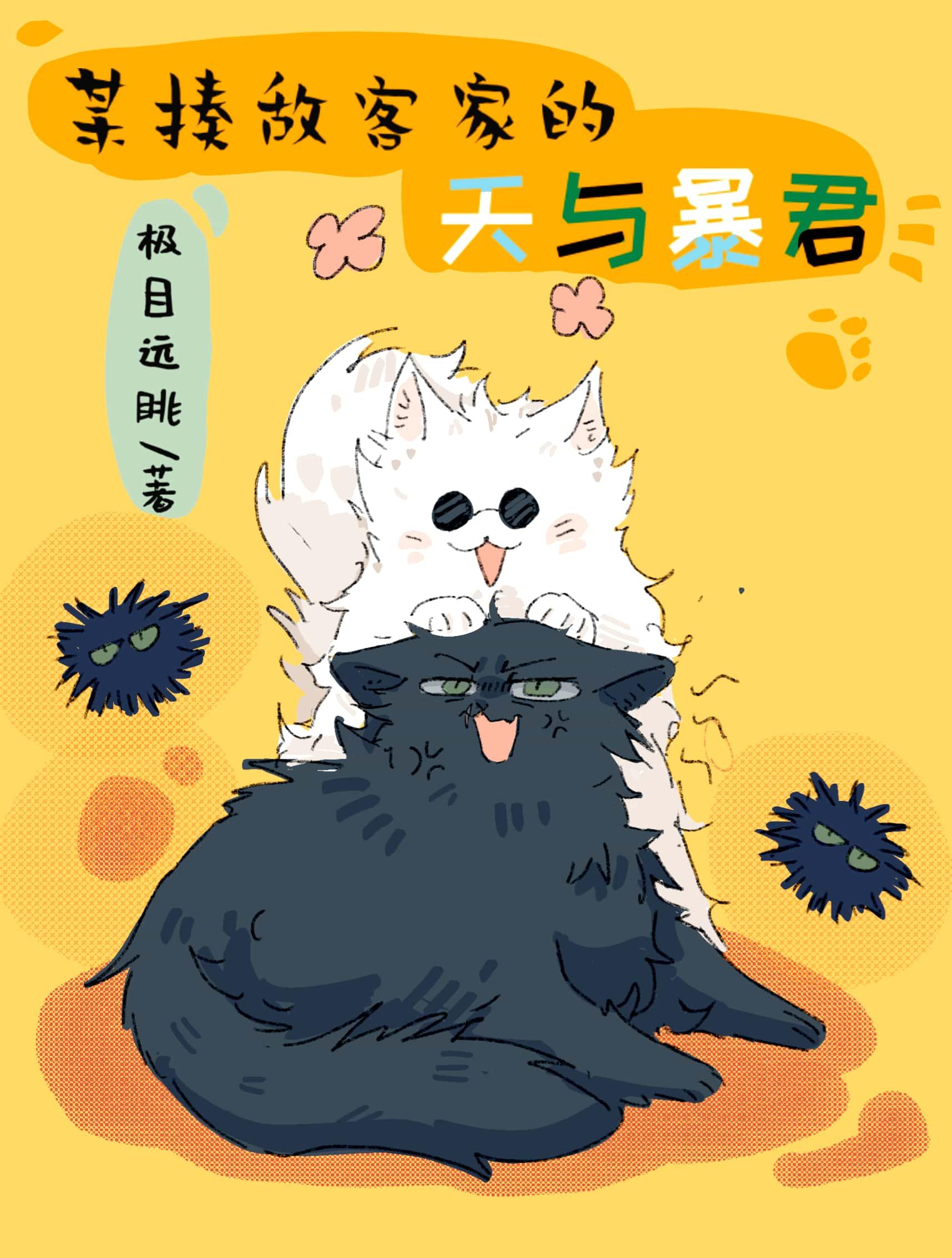 某揍敌客家的天与暴君 极目远眺