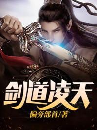 剑道凌天的境界划分