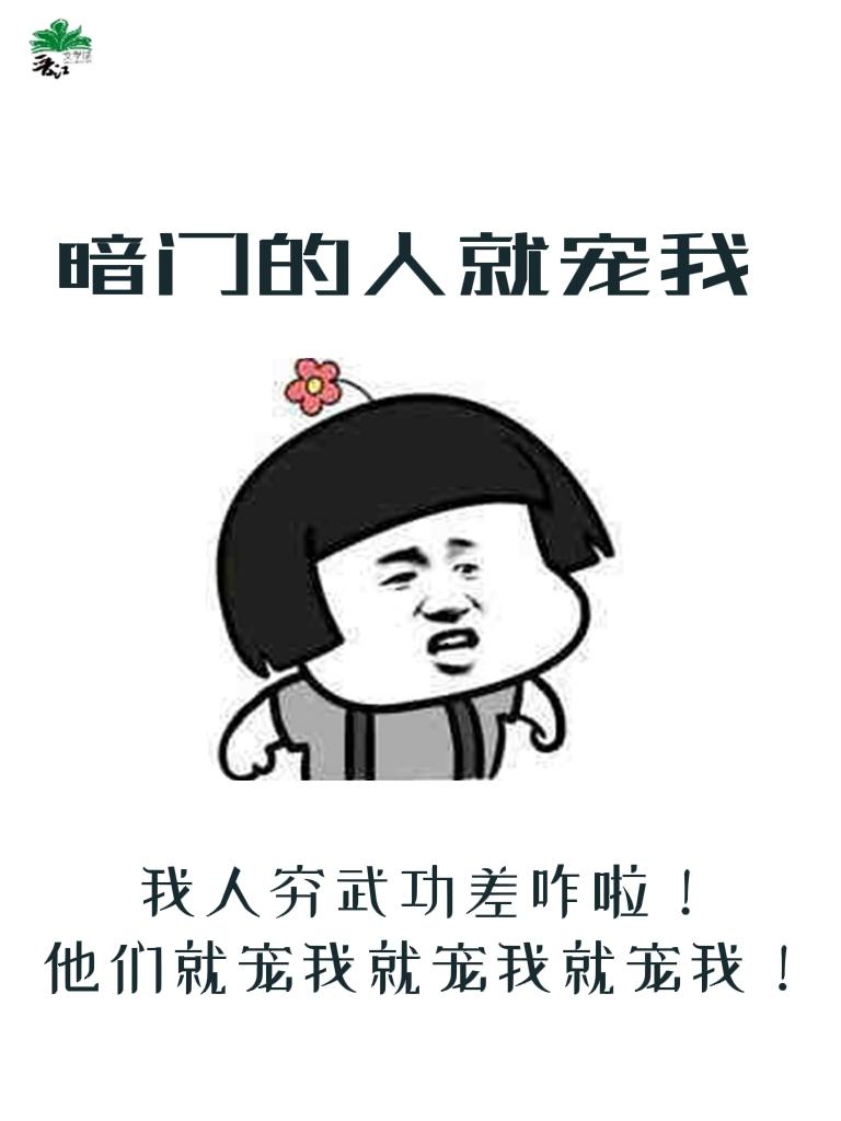 暗门的人就宠我txt