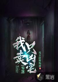 惊悚我只卖凶宅讲的什么