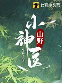 山野小神医电视剧