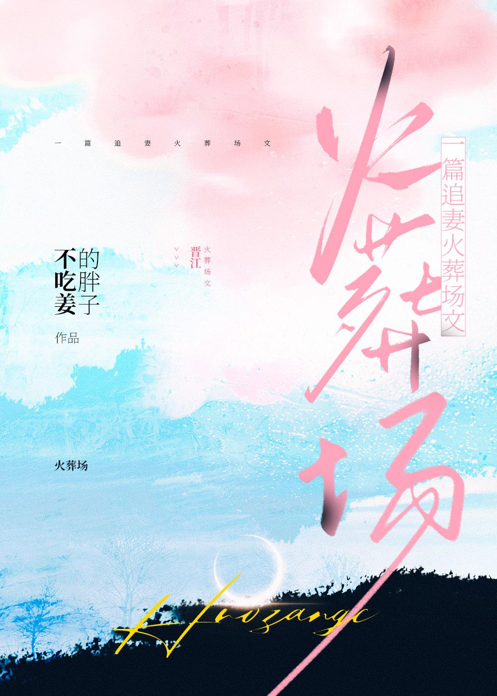 一篇追妻火葬场文婴宁