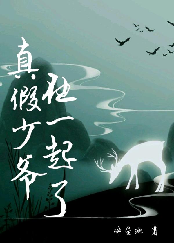 真假少爷在一起了快穿