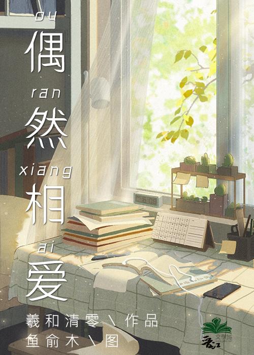 偶然相爱沈晖和谁在一起了