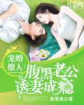 宠婚撩人腹黑老公诱妻成瘾txt