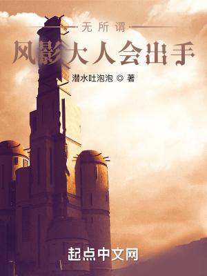 无所谓风影大人会出手手打章节