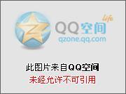 术式是召唤汪汪队土土土羊