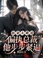 陆瑶傅时书免费阅读