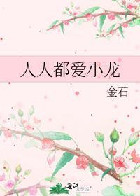 人人都爱小龙作者金石免费阅读