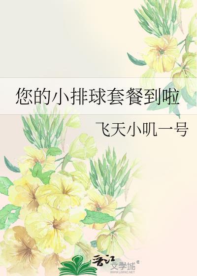 排球场地