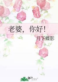 老婆你好歌词