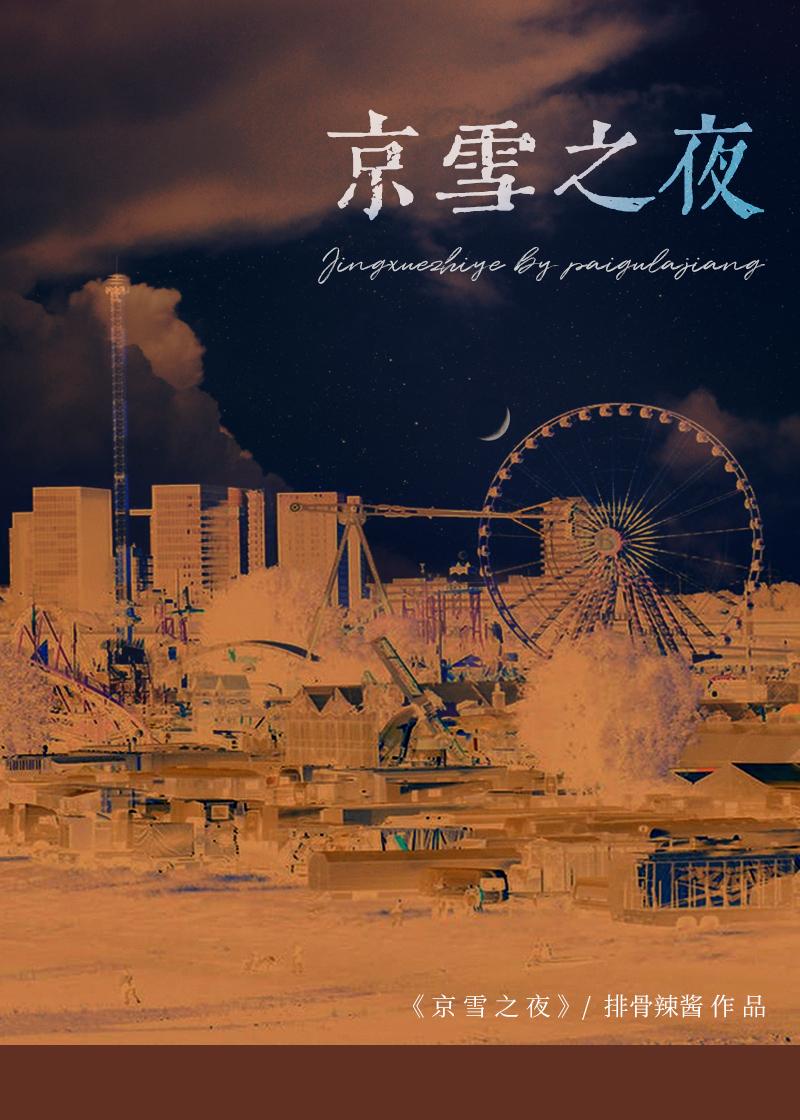 京雪之夜讲的什么