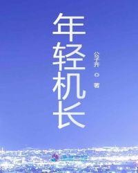 年轻机长电视剧免费观看