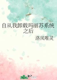 玛丽苏系统