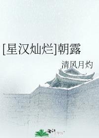 星汉灿烂原著