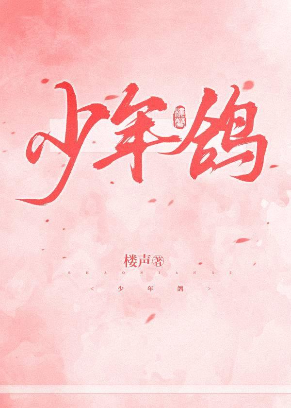 少年鸽和乳鸽