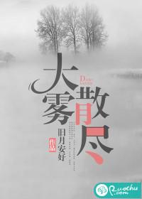 大雾散尽免费阅读无删减
