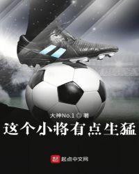 这个将军有点凶