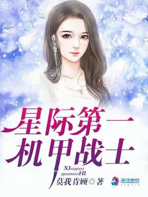 星际第一机甲师作者古城白衣少年