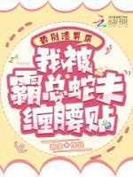 霍庭琛顾烟的名
