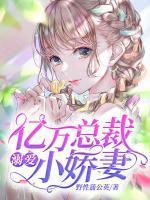夏一涵叶子墨全集