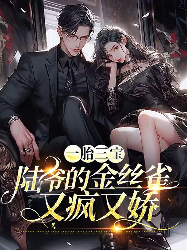 一胎三宝陆墨