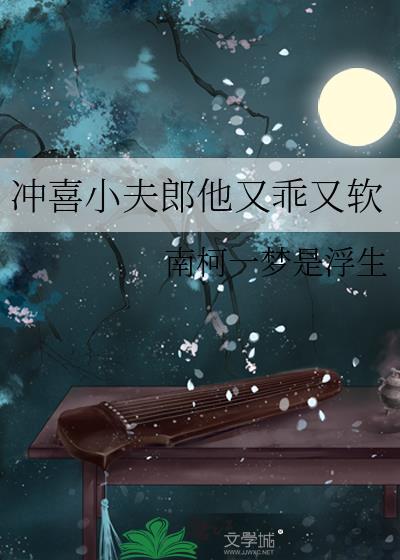 冲喜小夫郎 作者春汉