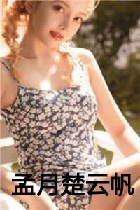 孟月楚云帆机长