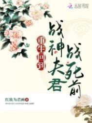 重生战少夫人回到他身边