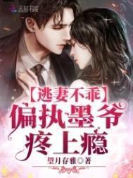 墨少宠小逃妻免费版