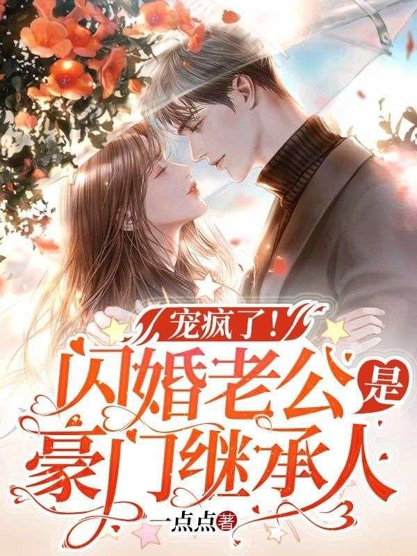 闪婚老公是继承人