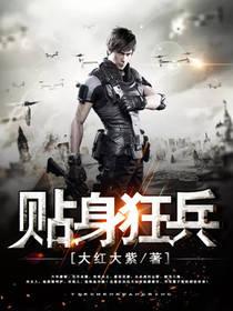 贴身狂兵大结局