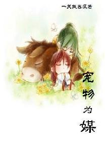 宠物自媒体怎么赚钱