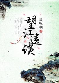 望江遗谈txt资源