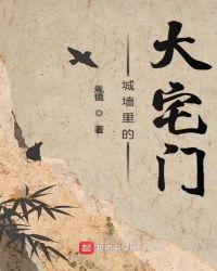 城墙上的门