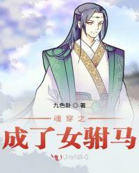 魂穿之成了女驸马 九色卦