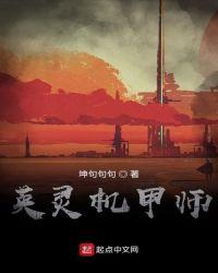 英灵机甲师第一季免费观看