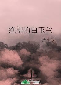 绝望白玉兰结局
