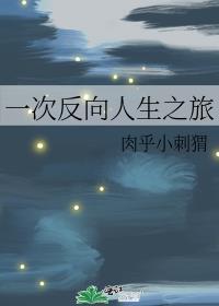 一次反向人生之旅作文